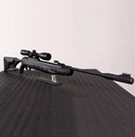 RIFLE Y PISTOLA NITRO PISTON